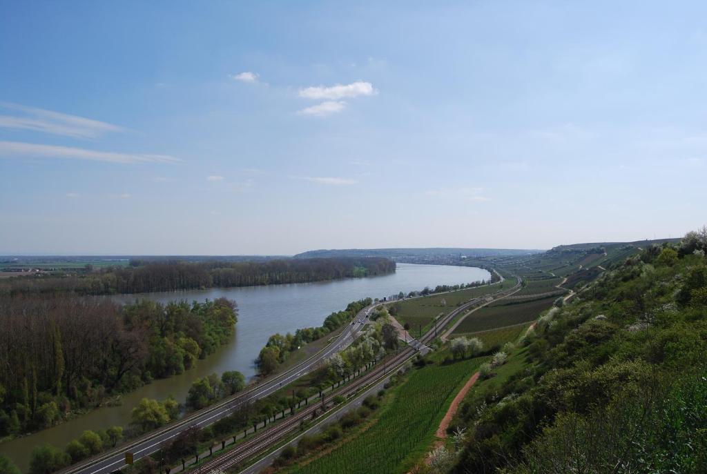 Landhotel St. Gereon Nackenheim ภายนอก รูปภาพ